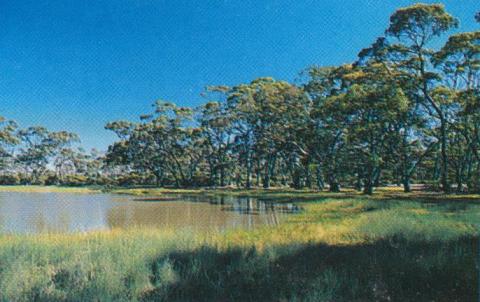 West Wimmera