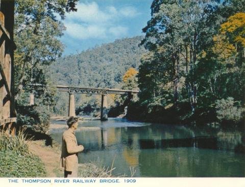 Thompson River Railway Bridge, Walhalla