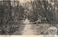 Bicycle track, Carrum