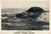 Seal Rocks and the Nobbies, Cowes