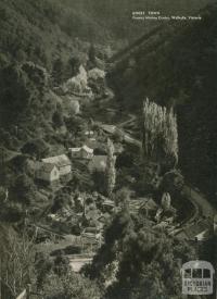 Ghost town, former mining centre, Walhalla, 1954
