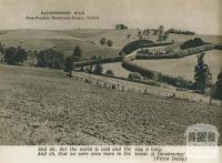 Patchwork hills, Paradise, Dandenong Ranges, 1954