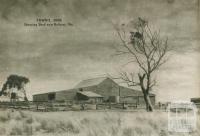 Shearing shed near Ballarat, 1954