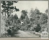 Olinda Road, Sassafras, 1918