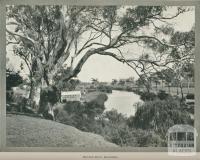 Rowing Club, Mitchell River, Bairnsdale, 1918