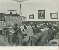 A wool class, Sale Agricultural High School, 1918