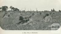 A hay crop at Rochester, 1918