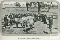 A veterinary class at Dookie College, 1918