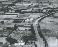Market Gardens at Moorabbin, 1953