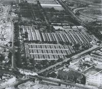 Newmarket Saleyards, Kensington, 1953