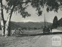 Harrietville Road, showing Mount Hotham, 1960