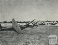 Sail Planes, Benalla Aerodrome, 1960