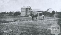 Ploughing, Ballarat Agricultural High School, 1916