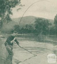 Trout Fishing, Goulburn River, Alexandra