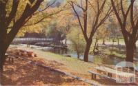 Picnic Ground at Morse's Creek, Bright, c1960