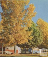 Caravan Park, Bright, c1960