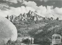 The Horn, highest peak on the Buffalo Plateau, c1960