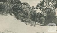 The Road to the Lookout, Arthurs Seat