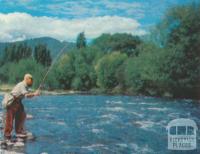 Trout Fishing, Kiewa, 1971