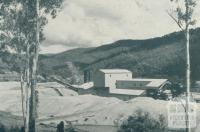 Gold Dredging, Harrietville, 1951