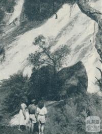 Mount Buffalo National Park, 1951