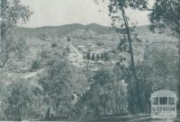 View of Myrtleford, 1951