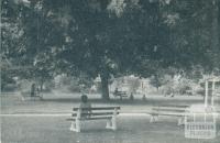 Wangaratta Gardens, 1951