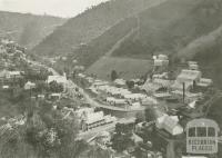 Junction of Right and Left-hand Branches, Walhalla, c1910