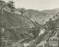 Steel Bridge, Thomson River, Walhalla, c1910