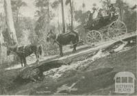 Fryers Shute, Walhalla, c1910