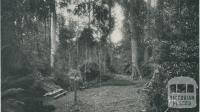 Picnic Spot, Yarram, 1933