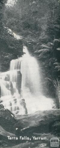 Tarra Falls, Yarram, 1947