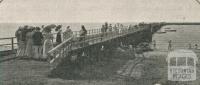 Dromana Pier, 1910
