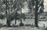 Picnic Ground, Woodend, 1959