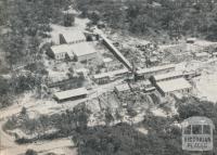 The Wattle Gully Gold Mine, 1961