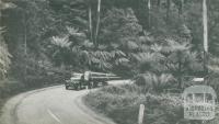 Timber Transport, Dandenongs, c1952