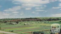Market Garden, Batesford, 1958