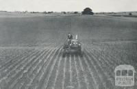 Onion Fields, Alvie, 1958