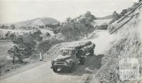 Hauling timber, Heyfield, 1958