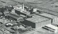 The Corio Distillery, 1965