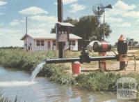 A small auxiliary unit, Nathalia, 1960