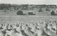 Flax production, Drouin, 1955