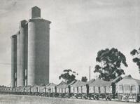 Wheat train passing the silos at Donald, 1955