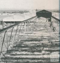 Timber mill gantry for handling logs, Heyfield, 1955