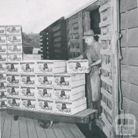 Loading apples into rail truck, Red Hill, 1955