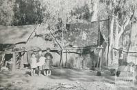 River-side shack dwellers, Shepparton, 1942