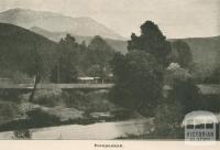 Porepunkah, 1919