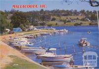 The foreshore camp park at Mallacoota Victoria's Wilderness Coast