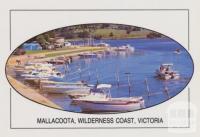 The foreshore camp park at Mallacoota Victoria's Wilderness Coast