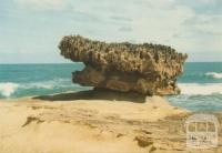 The Majestic Crown of Thorns near Port Campbell